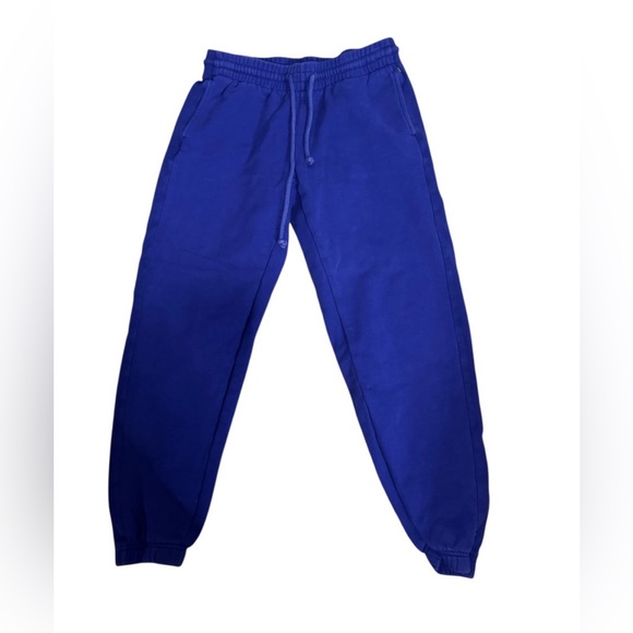 Aritzia Blue Track Pants - Picture 2 of 4